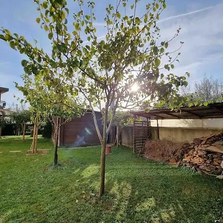 Barberinorelax Holiday home Barberino di Mugello